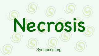 Necrosis definition morphology nuclear changes mechanisms types [upl. by Nostaw]