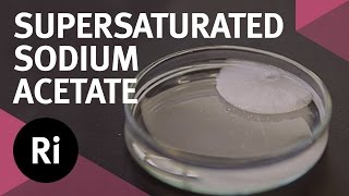 Supersaturated Sodium Acetate  Tales from the Prep Room [upl. by Halyhs175]