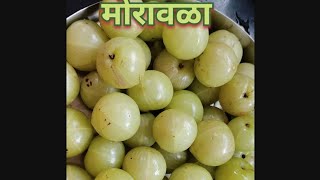 गुलाबजाम सारखा रसरशीत आवळ्याचा मुरांबा  मोरावळा  Amla Murabba  Muramba Recipe [upl. by Akimal268]