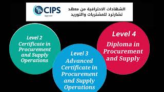 عروض النخبة المتميزة للتدريب في اليوم الوطني السعودي [upl. by Suoilenroc]