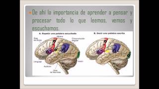 El Analfabetismo Funcional [upl. by Maxie]