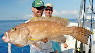 Deep Sea Fishing in Alabama Deep Water Groupers and Snappers [upl. by Tletski650]