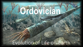 The Evolution of Life part 3  Ordovician [upl. by Vladamir34]