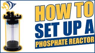 How to Set Up a Phosphate Reactor [upl. by Dottie]