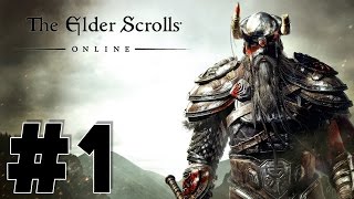 FR 1 Lets play The Elder Scrolls Online  La Naissance [upl. by Kahler]