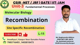 Site Specific Recombination  Bacteriophage Lambda  Molecular Biology  Lecture11 [upl. by Ima]