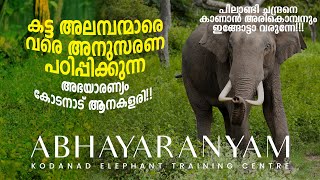 Kodanad Elephant Training Centre  Abhayaranyam [upl. by Godber]