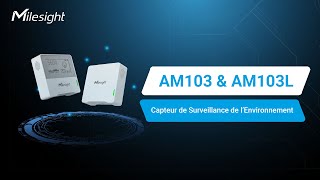 Milesight AM103 amp AM103L LoRaWAN Capteur de Surveillance de Qualité de l’Air Intérieur Français [upl. by Atir33]