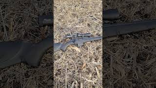 Stevens 334 one of the best budget hunting rifles out there [upl. by Barrington]