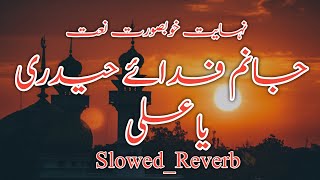 Jaanam Fida e Haideri naat slowed reverb new naat 2024 slowed reverb please like subscribe and share [upl. by Bonine]