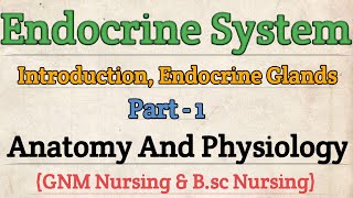 Endocrine System Anatomy and Physiology  Anatomy and Physiology For Nursing Student [upl. by Colvin]