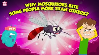 Why Mosquitoes Bite Some People More Than Others  Mosquito Facts  The Dr Binocs Show [upl. by Brader817]