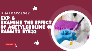 Study of Effect of Acetylcholine on Rabbits Eye  Exp 6  Pharmacology II YEAR pharmacy practical [upl. by Hsiekal]