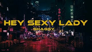 Shaggy   Hey Sexy Lady  Lyrics Video   Official Music Video [upl. by Hanschen316]