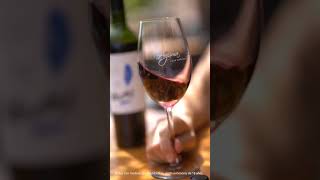 Aguma tannat  Conseguilo en nuestra tienda  wine vino reels viralvideo [upl. by Colt]