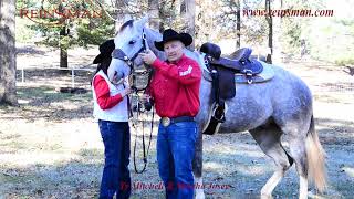 How to Fit and Adjust a Bit and Headstall on a Horse 0117 1000 Josey Mitchell Chain Lifter [upl. by Wivinah367]