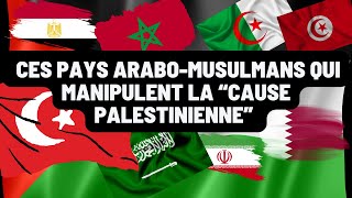 GAZA  LES PAYS ARABOMUSULMANS NE SOUTIENNENT PAS LES PALESTINIENS ILS MANIPULENT LEUR CAUSE [upl. by Suravaj]