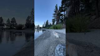 Slow morning by the lake asmr [upl. by Anilram579]