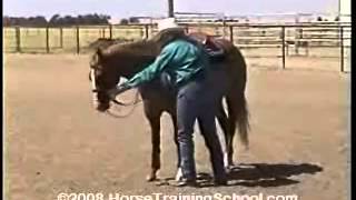 Horse Training Turn On Haunches Ground Work Turn On Hindquarters [upl. by Remington827]