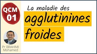 Maladie des agglutinines froides QCM01 [upl. by Bergwall]