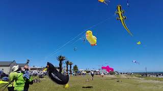 CAPE TOWN INTERNATIONAL KITE FESTIVAL [upl. by Ylram]