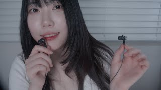 ASMR 이어폰마이크로 29분만에 잠들기 카메라터칭 인어디블 오일마사지 시각적팅글 [upl. by Anirbed]