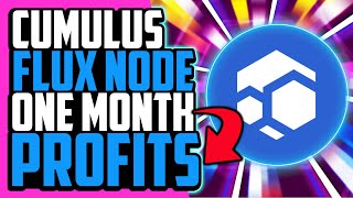 My Flux Node One Month Profitability [upl. by Nitaf104]