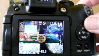 Canon SX10 IS manual mode [upl. by Goldia]