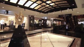 Hotel Overview of Hilton Singapore [upl. by Toor109]