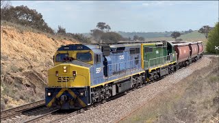 Australian Trains  Aurizons Return To Intermodal In NSW 5 Locos On SSR Grain Drone Footage [upl. by Jenica]