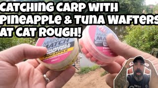 Catching Carp with Pineapple amp Tuna Wafters at Cat Rough [upl. by Yentuoc]