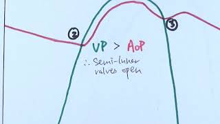 Blood Flow Through the Heart Made Easy  Cardiac Circulation Animation [upl. by Sidnala637]