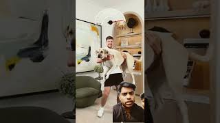 Holding biggar and biggar dogs trending gaming mrbeast viralshort vairalshort video trend [upl. by Annekam]