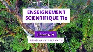 La biodiversité et son évolution Enseignement scientifique Tle [upl. by Edris632]