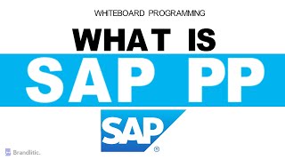 What is SAP PP Explained  Introduction to SAP PP Overview amp Basics [upl. by Nitsugua278]