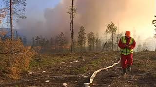 Sweden forest fires Ljusdal wildfire Alvdalen Helicopters are watering the in bonedry forests [upl. by Atihcnoc]