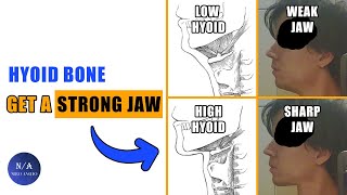 The Secret To An Attractive Jaw  Hyoid Bone blackpill [upl. by Nedyrb]