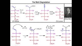 Lec10  The Wohl Degradation [upl. by Read110]