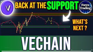 VECHAIN PRICE PREDICTION  BACK AT THE SUPPORT AGAIN  VECHAIN NEWS NOW [upl. by Onaivatco238]