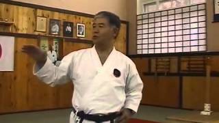 Dojo Respect  A lecture by Sensei Morio Higaonna [upl. by Onaireves327]