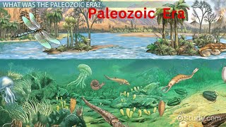 Paleozoic era CambriaPeriod OrdovicianPeriod SilurianDevonian Carboniferous tetrapods [upl. by Margery]