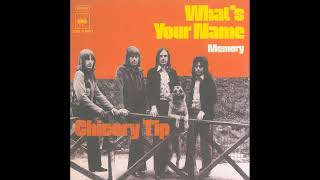 Chicory Tip  Whats Your Name  1972 [upl. by Hamal6]