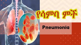 የሳምባ ምች  Pneumonia [upl. by Rukna183]