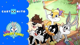 Baby Looney Tunes  Autorennen  Cartoonito [upl. by Sarid]