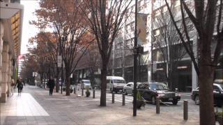 201112161東京丸の内エシレメゾンデュブールの幻のクロワッサン [upl. by Ialocin266]