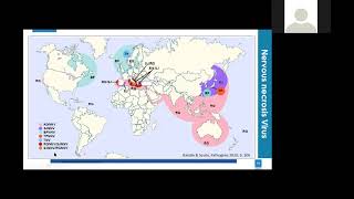 Training Course 3 Diagnostic approach to viral and bacterial diseases of seabass and seabream [upl. by Olegnaid]