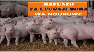 MAMBO MUHIMU YA KUZINGATIA YA UFUGAJI BORA WA NGURUWE [upl. by Enetsirk]