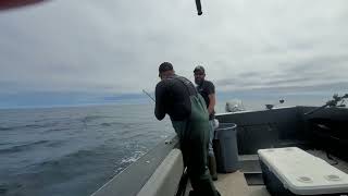 Charleston Oregon Albacore Tuna July 2024 [upl. by Alokin]