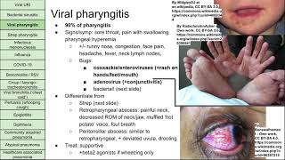 Respiratory infections [upl. by Reynold]