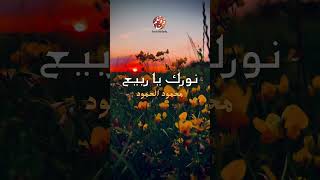 Mahmood Al Hamood  Noorak ya rabi3  نورك يا ربيع  محمود الحمود reels shorts music inshad [upl. by Fernald490]